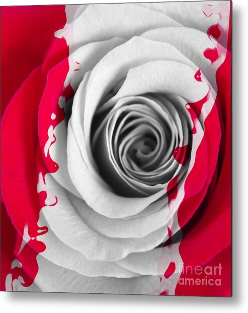 Rose Metal Print featuring the photograph Desaturated by Clare Bevan