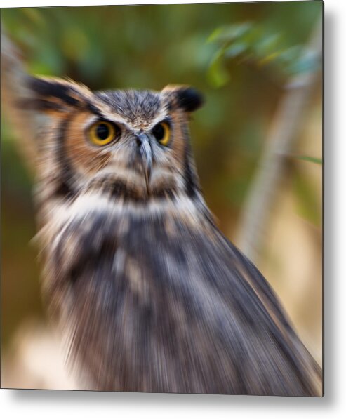 Bubo Bubo Metal Print featuring the digital art Eurasian Eagle Owl abstract by Flees Photos