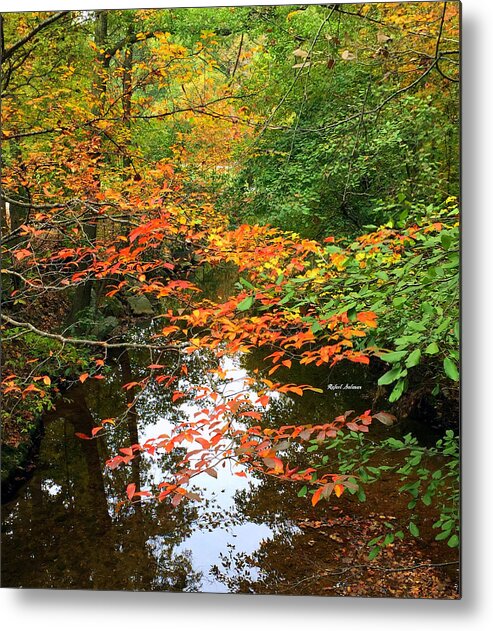 Fall Leaves Metal Print featuring the photograph Fall is in the Air by Rafael Salazar