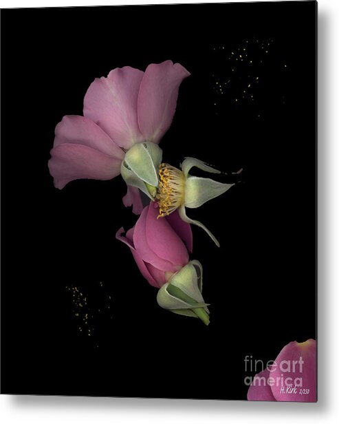 Purple Metal Print featuring the photograph Flower Box Purple Cut by Heather Kirk