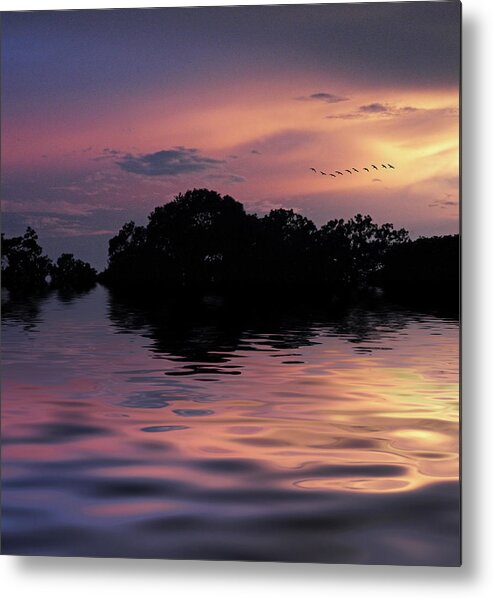 Sunset Metal Print featuring the photograph Sunset Flock by Jessica Jenney