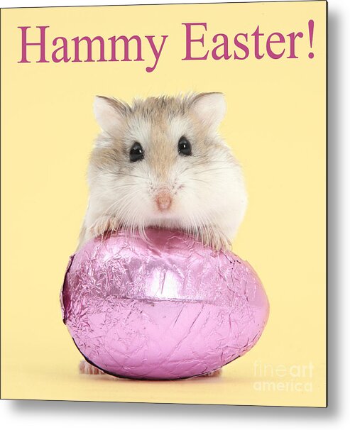 Roborovski Hamster Metal Print featuring the photograph Hammy Easter by Warren Photographic