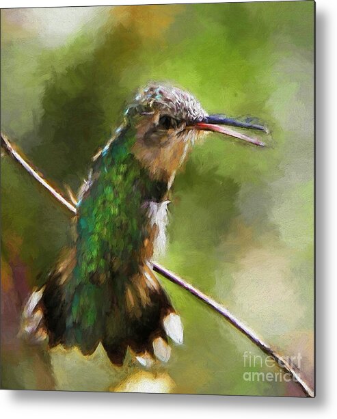 Hummingbird Metal Print featuring the painting Happy Hummingbird by Tina LeCour