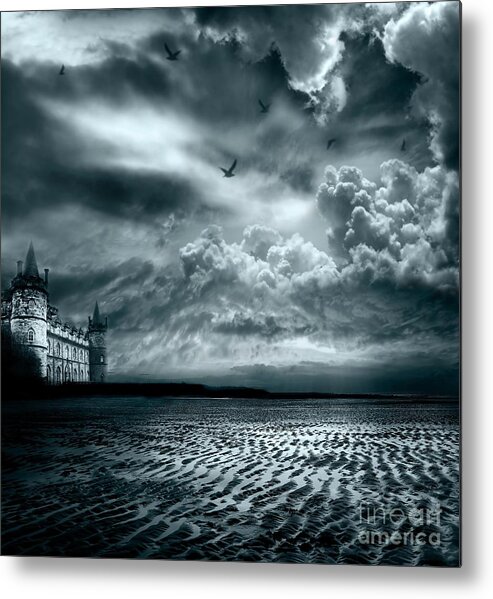 Beach Metal Print featuring the photograph Home by Jacky Gerritsen