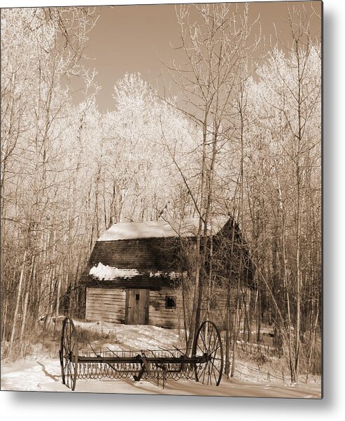 Homestead Metal Print featuring the photograph Homestead by Pat Purdy