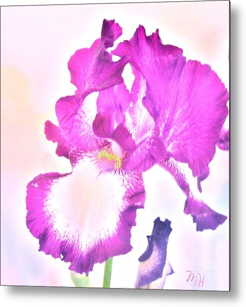 Photo Metal Print featuring the photograph Iris in Magenta by Marsha Heiken