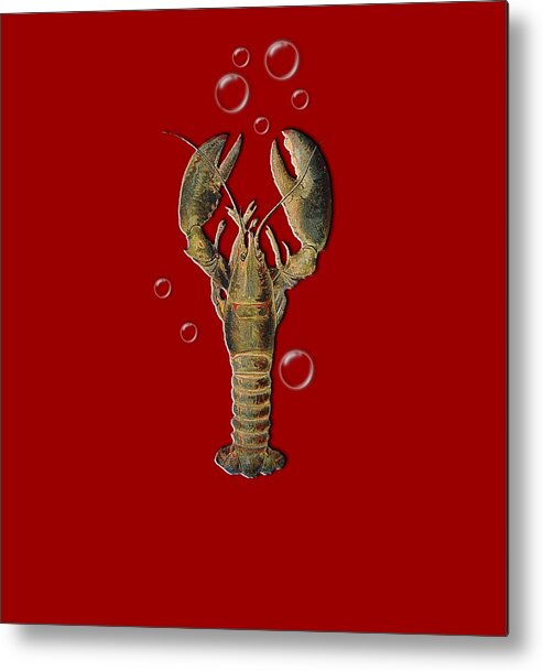 Lobster With Bubbles Metal Print featuring the digital art Lobster With Bubbles T Shirt Design by Bellesouth Studio