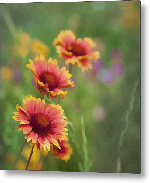 Flower Metal Print featuring the photograph Look...a flower by John Crothers