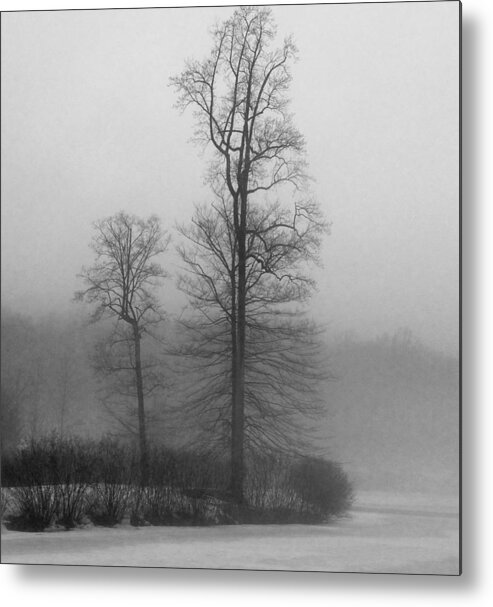 Black And White Metal Print featuring the photograph Misty Winter Day by GeeLeesa Productions