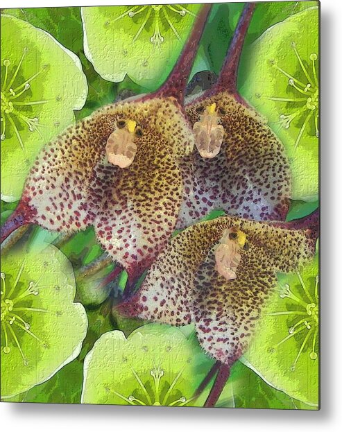 Orchid Metal Print featuring the digital art Orchid Monkeys by Diane Lynn Hix