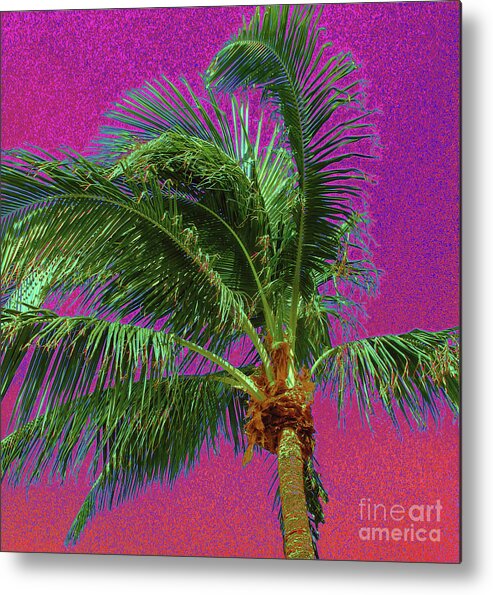 Palm Tree Metal Print featuring the photograph Palm 1012 by Corinne Carroll