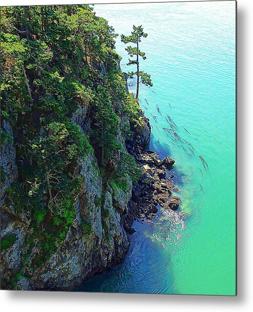 Trees Metal Print featuring the photograph Sea Moss by Sandra Peery