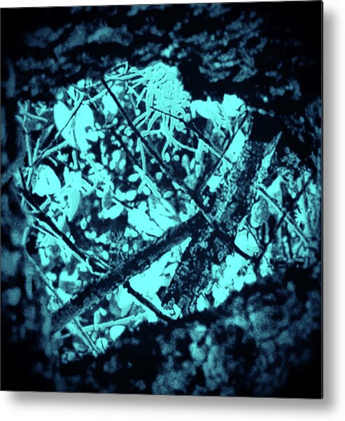 Blue Metal Print featuring the photograph Seeing Through Trees by Gina O'Brien