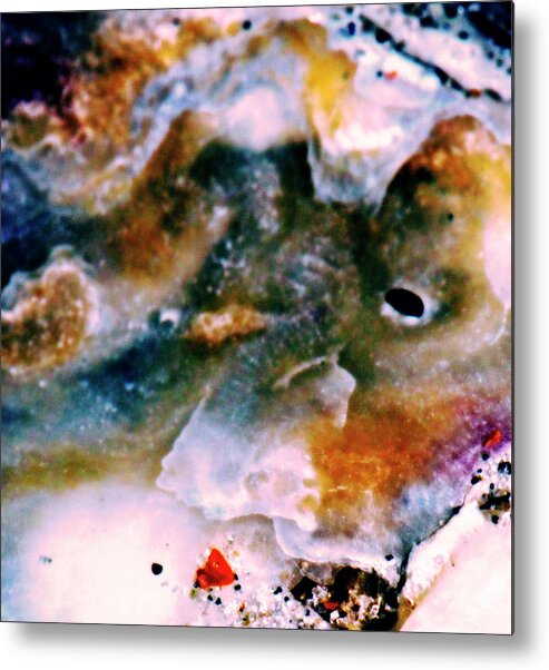 Shell Metal Print featuring the photograph Shell Treasure Story by Gina O'Brien