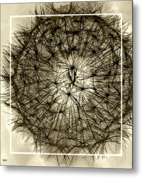 Spheres Of Color Brown Metal Print featuring the mixed media Spheres Of Color Brown by Debra   Vatalaro