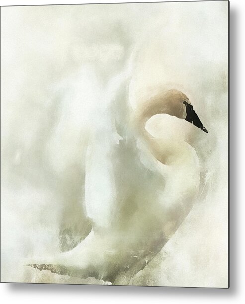 Bird Metal Print featuring the photograph Swan ByMoonlight by Kathy Bassett