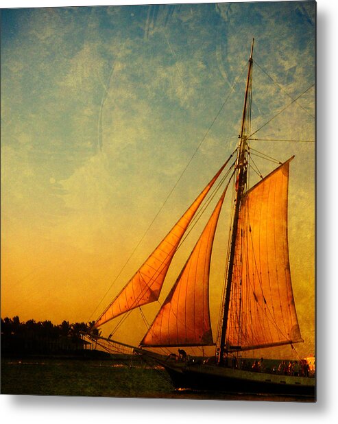 The America Metal Print featuring the photograph The America Nr 3 by Susanne Van Hulst