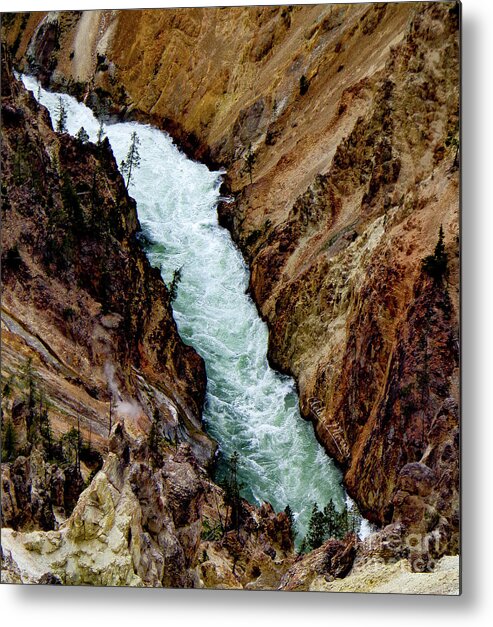 Landscape Metal Print featuring the photograph The Yellowstone by Adam Morsa