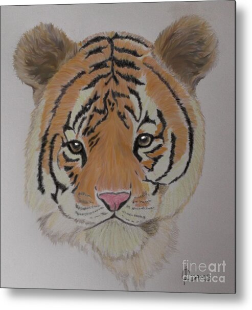 Tiger Metal Print featuring the mixed media Tiger Tiger by Cynthia Adams