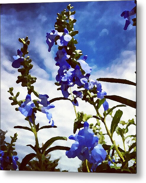  Metal Print featuring the mixed media Wild Blue Sage by Shelli Fitzpatrick