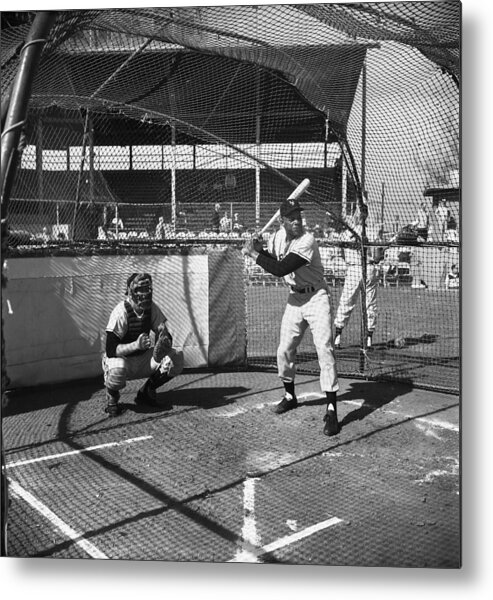 1950-1959 Metal Print featuring the photograph Giants Spring Training #2 by Michael Ochs Archives