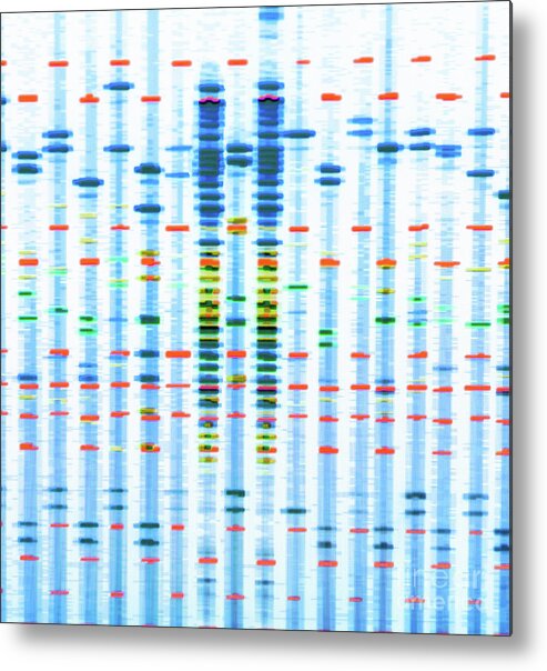 Dna Metal Print featuring the photograph Dna Profile #4 by Tek Image/science Photo Library