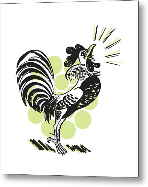 Agriculture Metal Print featuring the drawing Rooster Crowing #6 by CSA Images