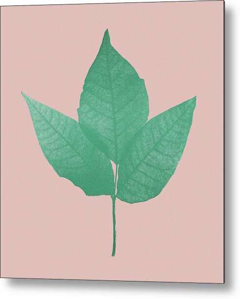Campy Metal Poster featuring the drawing Leaves #8 by CSA Images