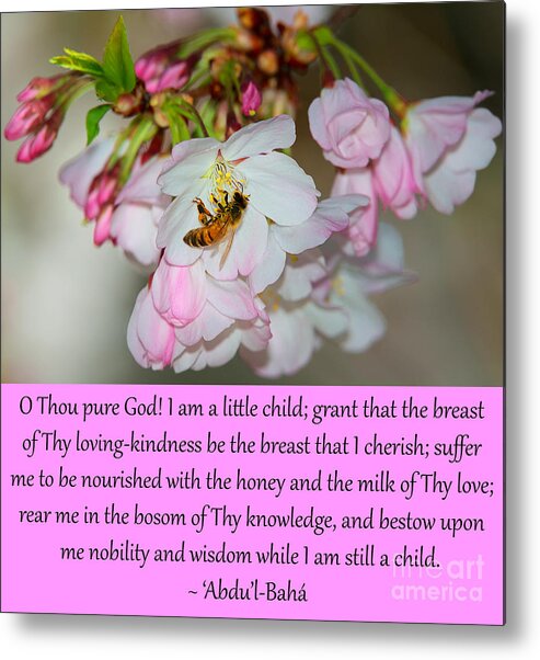 Cherry Metal Print featuring the photograph A Little Child Prayer, No. 2 by Baha'i Writings As Art