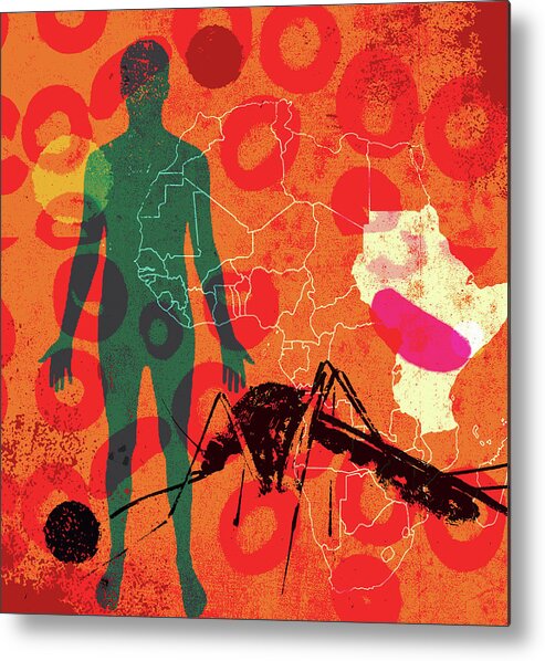 Adult Metal Print featuring the photograph Mosquito And Malaria In East Africa by Ikon Images
