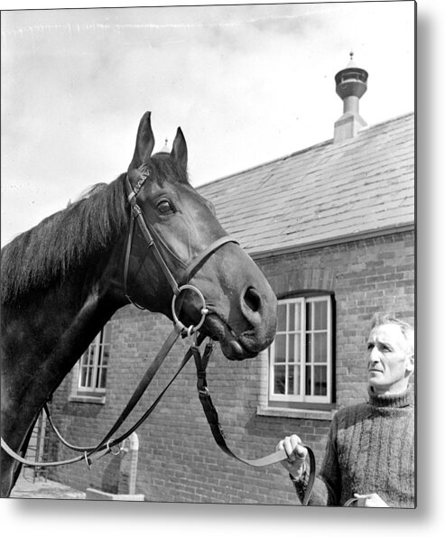 Horse Metal Print featuring the photograph Royal Horse by Bert Hardy
