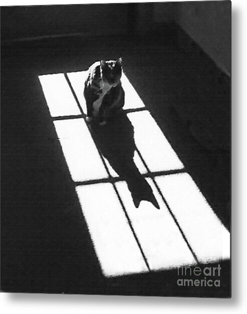 Abstract Metal Print featuring the mixed media The Cat and the Shadow 300 by Sharon Williams Eng