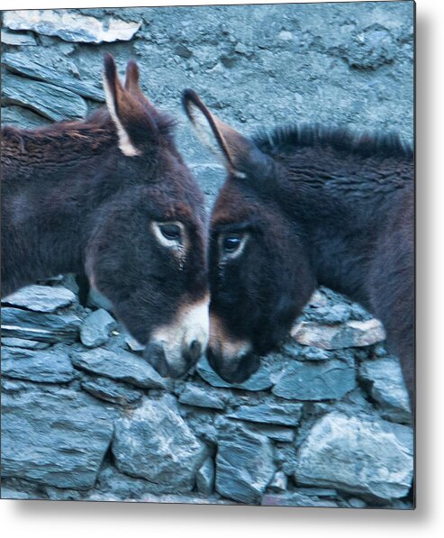 Burro Metal Print featuring the photograph Eye To Eye, Nose To Nose, Heart To Heart by Leslie Struxness