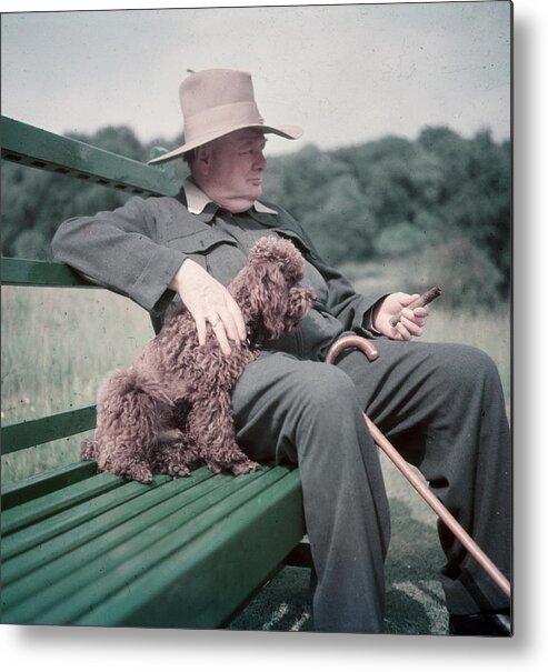 Vertical Metal Print featuring the photograph Winston Churchill At Chartwell by Mark Kauffman