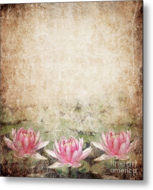 Flower Metal Print featuring the photograph Water Lily #1 by Jelena Jovanovic