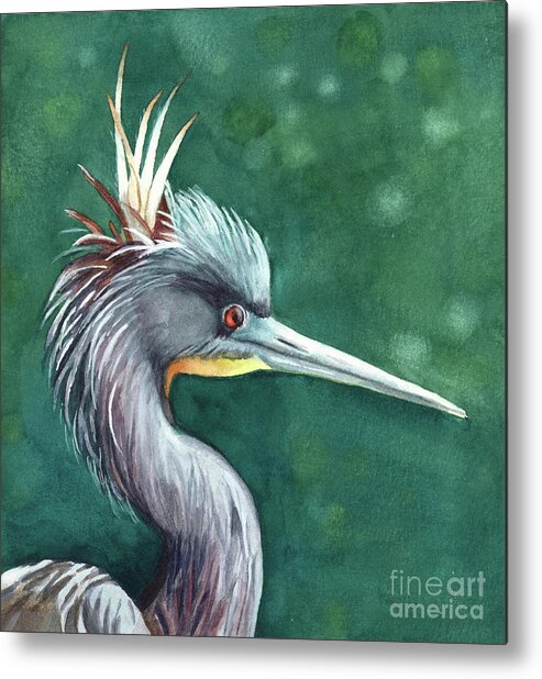 Bird Tri-colored Heron Metal Print featuring the painting Bad Hair Day by Vicki B Littell