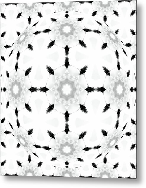 Black And White Abstract Art Metal Print featuring the digital art Black and White Abstract Art by Caterina Christakos