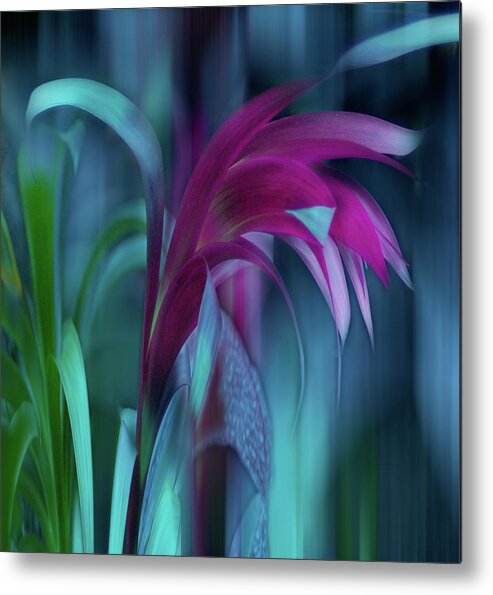 Abstract Metal Print featuring the photograph Cornflower Dreams Mindscape by Wayne King