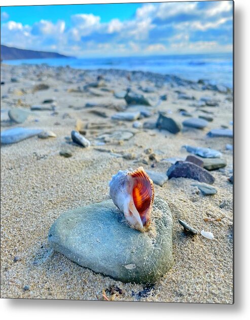 Bay Metal Print featuring the photograph My Shell by Maya Mey Aroyo