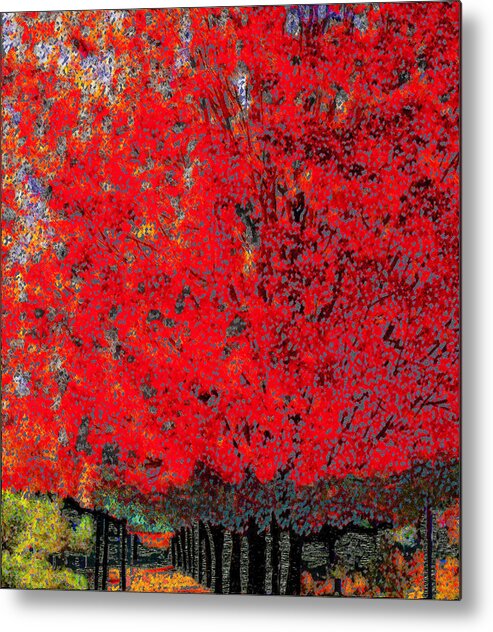 Asheville Metal Print featuring the digital art Orange Mountain Tree by Rod Whyte