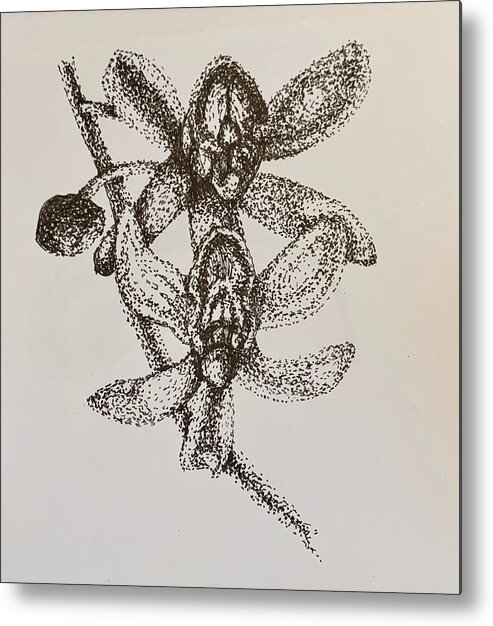 Points Metal Print featuring the drawing Orchid by Franci Hepburn