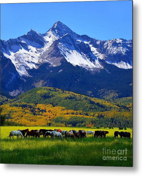 Landscape Metal Print featuring the photograph Rocky Mountains Beauty by David Lee Thompson