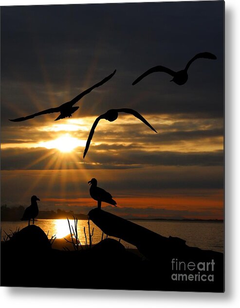 Seagulls Metal Print featuring the mixed media Silhouetted Seagulls by Kimberly Furey