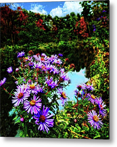 Wildflowers Metal Print featuring the photograph Wildflowers, central NY by Bill Jonscher