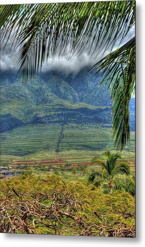 Landscape Metal Print featuring the photograph Maui Foot Hills by Arthur Fix
