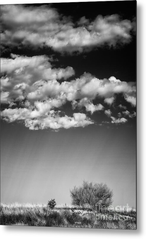 Black And White Landscape Photography Metal Print featuring the photograph Clouds and Brush #1 by David Waldrop