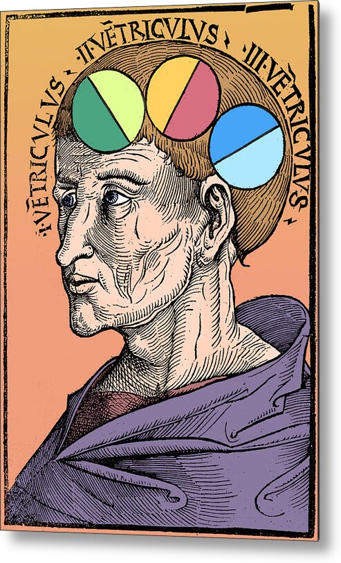 Science Metal Print featuring the photograph Man With Brain Ventricles, Albertus #1 by Science Source