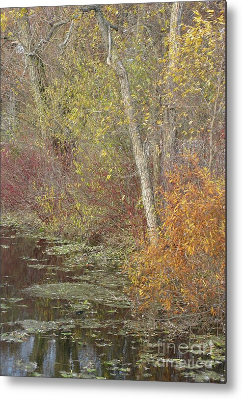 Autumn Metal Print featuring the photograph Pondside Pastel by Ann Horn