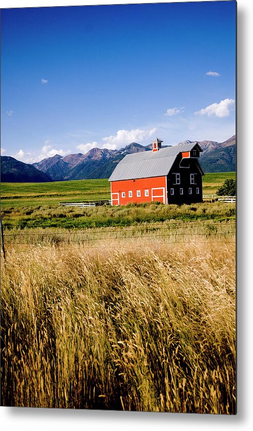 Agricultural Metal Print featuring the photograph Red Barn In Field Near Joseph, Wallowa #2 by Nik Wheeler