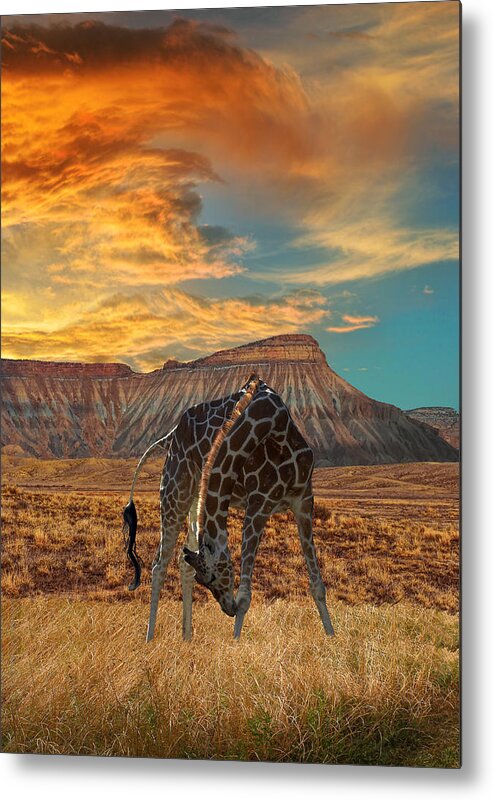 Animal Metal Print featuring the photograph 2711 by Peter Holme III